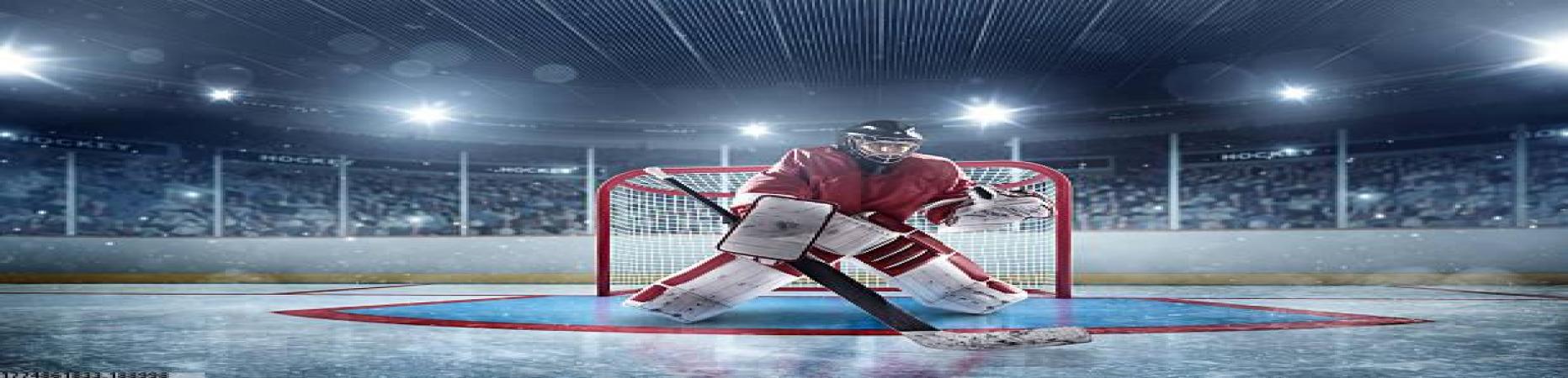 vsports胜利场馆预约与信息查询